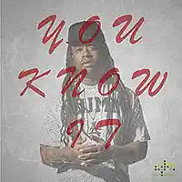 Picture for song 'You Know It - Ty Dolla Sign Type Beat' by artist 'Chief Tone Media'