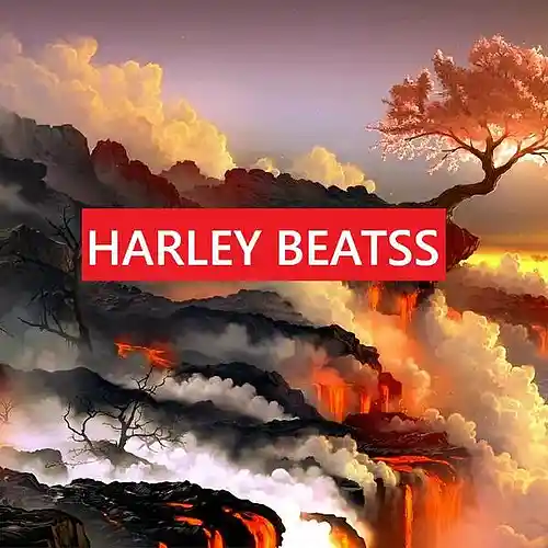 Picture for song 'back' by artist 'HarleyBeatss'