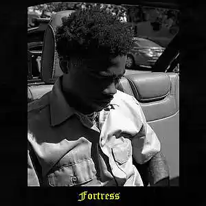 Picture for song 'Fortress' by artist 'Nexta Got Heat'