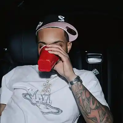 Picture for song 'HEARTLESS' by artist 'Nick Vanelli'