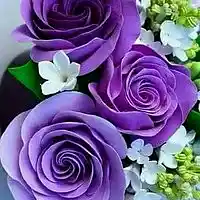 Picture for song '*NEW* PURPLE ROSES' by artist 'rxshni'