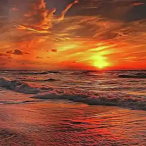 Picture for song 'Ocean Dance' by artist 'The New Kid'