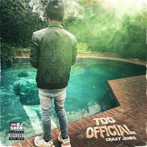 Picture for song 'Too Official (INTRO)' by artist 'Crazy James'