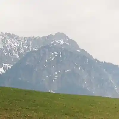 Picture for song '20250328_161652_1_FS' by artist '786 scheint-Al'lahs Bande'