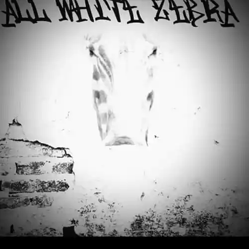 Picture for song 'thefire' by artist 'All White Zebra'