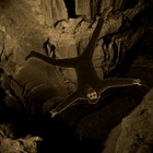 Picture for song 'The Pit' by artist 'Alien Syndrome Deluxe'