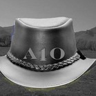 Picture for song 'Life is a Rodeo' by artist 'ALPHA ONE OMEGA'