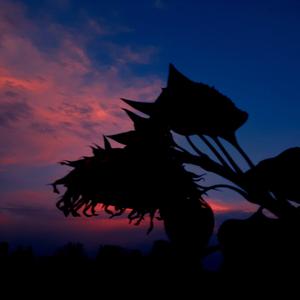 Picture for song 'had the money(Buy 1 get 2 free)' by artist 'Breakerukillit'