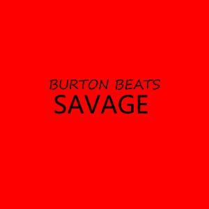 Picture for song 'Savage-Roddy Ricch Typebeat' by artist 'Burton Beats'