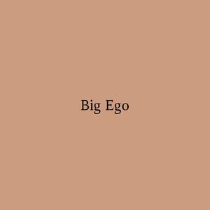Picture for song 'Big Ego' by artist 'DJ Mauri B'