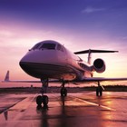 Picture for song 'WE FLY, WE FLY BEAT' by artist 'DREAM STAR RECORDS'