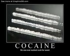 Picture for song 'Cocaine' by artist 'Emperor Fresco'