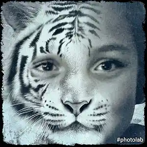 Picture for song 'Tha bM song' by artist 'Mannytunez'