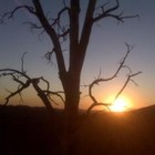 Picture for song 'piss and moan' by artist 'Fastsnorkler'