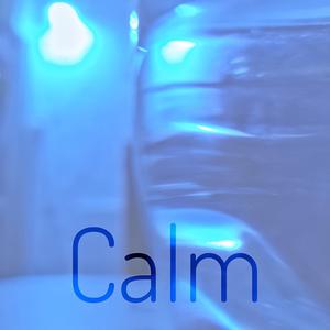Picture for song 'Calm' by artist 'Florian Gleisberg'
