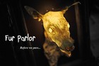 Picture for song 'Storefront' by artist 'Fur Parlor'