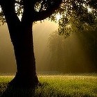 Picture for song '*NEW* SUMMER EVENING (Free DL)' by artist 'GRAND STUFF Productions'