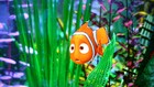 Picture for song 'Nemo' by artist 'Hub City Souljaz'
