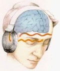 Picture for song 'Hypnotize' by artist 'Jerry's Various Instrumentals'