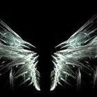 Picture for song 'Refrigerated Wings' by artist 'Kindle'
