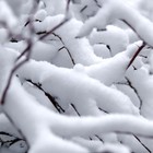 Picture for song ':. My Siberia :. Club Hit' by artist 'KLC productions'