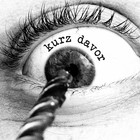 Picture for song 'Bernsteintaucher (Ruff Mix)' by artist 'KURZ DAVOR'