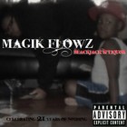Picture for song 'Amtrak Station (prod. by Will Shine)' by artist 'Magik Flowz'