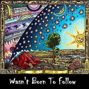Picture for song 'Wasn't Born To Follow' by artist 'Major Snagg'