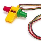 Picture for song 'Flyer' by artist 'MF Skratch'