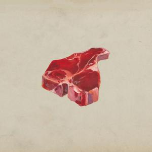 Picture for song 'Slaughterhouse' by artist 'Nick Vanelli'