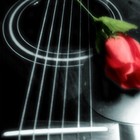 Picture for song 'Be Single Love' by artist 'Not HollyWood Production'