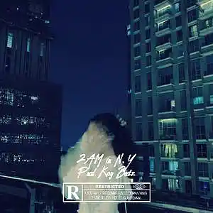 Picture for song '"2am In Ny" (BUY 1 GET 1 FREE)' by artist 'Omg its Kay'