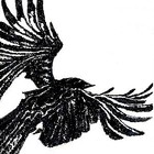 Picture for song 'Dance of Crow' by artist 'Penguin Bomb'