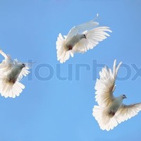 Picture for song 'I do believe in heaven ' by artist 'Peter Kosta's Galaxy Rock Band'