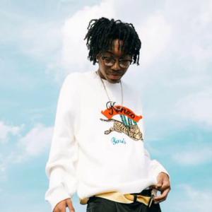 Picture for song '"Show Me Up" Lil Mosey x Young Thug' by artist 'pluggits'