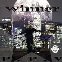 Picture for song 'WINNER' by artist 'PPVTHEYOUNG'