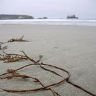 Picture for song 'Unfortunate Truth' by artist 'PrEmoEffect'