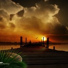 Picture for song 'AnotherDay' by artist 'PureBread Pro'