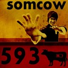 Picture for song '"theBIGbossMAN" (Bruce lee vs the world RE-mix)' by artist 'ROZROK51'