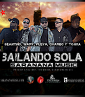 Picture for song 'Bailando Sola- New Beat' by artist 'Saranana Music'