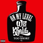 Picture for song 'ScrillaBeatz: On My Level *Free DL*' by artist 'ScrillaBeatz'