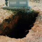 Picture for song 'Owner of a Hole (Dance Mix)' by artist 'Sodderpot'