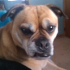 Picture for song 'We're Not Here For A Long Time' by artist 'Special 13'