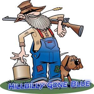 Picture for song 'Hillbilly Gone Blue' by artist 'Swampman And The Machine'