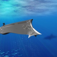Picture for song 'Nautilus' by artist 'Swampman And The Machine'