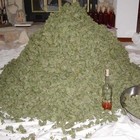 Picture for song 'Every Day ***NEW*** T-34 Productions' by artist 'T-34 Productions'