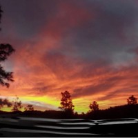 Picture for song 'Awakenings' by artist 'The Song Whisperer'