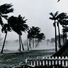 Picture for song ''Hurricane'' by artist 'Tim Green'
