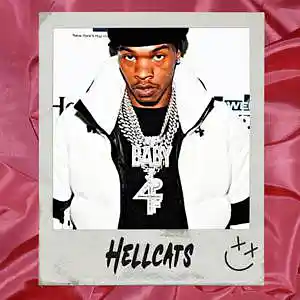 Picture for song 'Hellcats' by artist 'True North Beats'