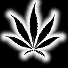 Picture for song '32' by artist 'Uriah 6T1'